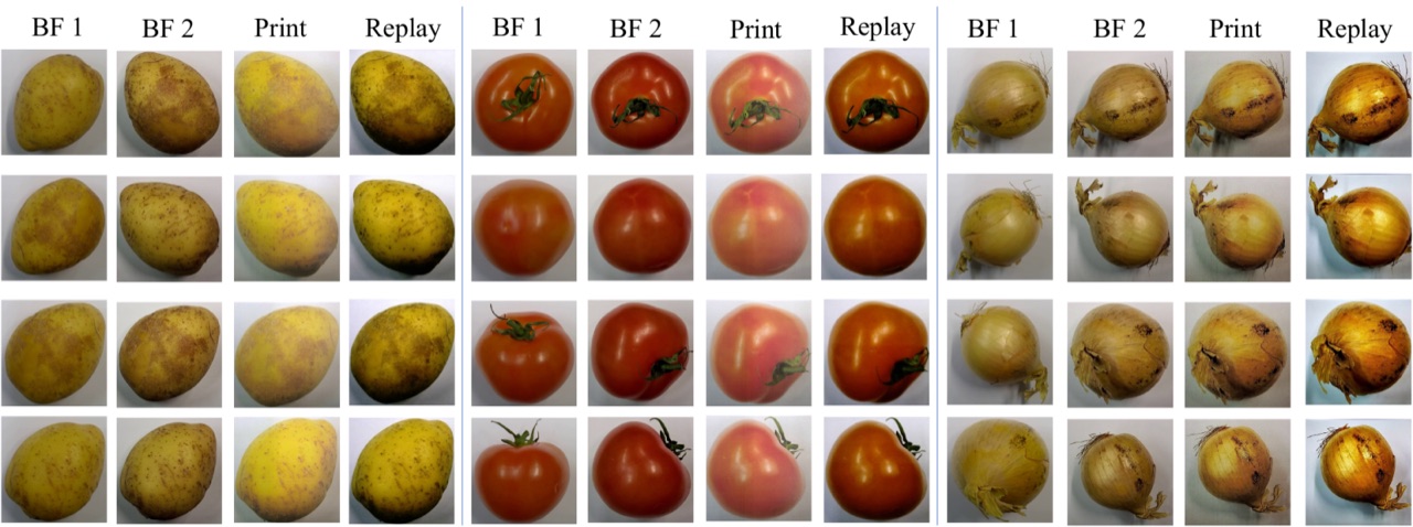 Figure from Tomatoes, Potatoes, and Onions